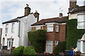 View of ivy growing on the side of a house on Ritchings Avenue #2