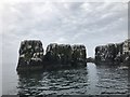 NU2337 : The Pinnacles, Staple Island by Jonathan Hutchins