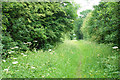 Bridleway to Cursey Lane