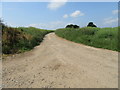 Track at Brockholme Farm