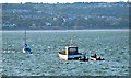 Messing about in boats - Mumbles