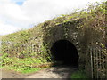 West side of a railway bridge, Tir-y-berth