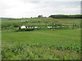 Pond near Brackenrigg by Laurencekirk