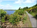 NZ0152 : Multi-user trail at the Derwent Reservoir by Oliver Dixon