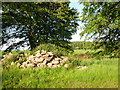 Clearance cairn, near Langside