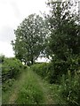 Footpath to Chapel Farm, Yatton