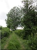 SO6330 : Footpath to Chapel Farm, Yatton by Jonathan Thacker