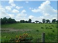 Grazing land on the north side of Ferryhill Road