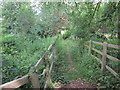 Footpath to Sellack