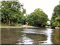 Ashton Canal near Lumb Lane