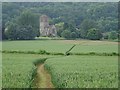 SO7740 : Footpath through a wheat field to Little Malvern Priory by Philip Halling