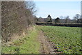 Footpath by field edge