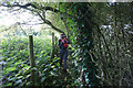 Path leading to Cadney Road, Howsham