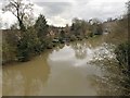 Bridge Street gardens are under water, Warwick