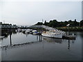 Teddington Marina