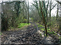 Path south from Broadmare Common