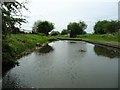 Narrows at the toll house, Dudley No 2 Canal