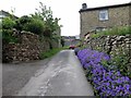 Lane below Edge View, Reeth