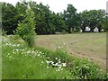 View from Molehill Road