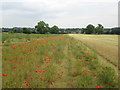 Footpath towards West Field