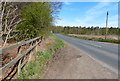 NT6080 : North along the A198 at Binning Wood by Mat Fascione