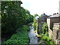 Pendle Water from Barrowford bridge