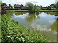 The pond at Matfield