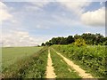 Path across the fields