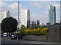 Tower blocks in Wandsworth