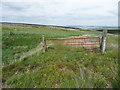SE0413 : Rusty field gate on path alongside Drop Clough, Marsden by Humphrey Bolton