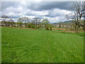 The path to Reddish Lane