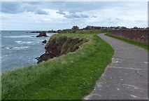 NT6679 : John Muir Way towards Dunbar by Mat Fascione