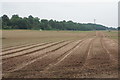 SO8543 : Cultivated farmland near Severn Stoke by Bill Boaden