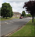 Trees, cars and a bus, Bouncers Lane, Cheltenham