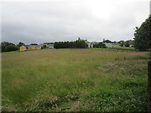 W2689 : Grass field on the edge of Millstreet by Jonathan Thacker