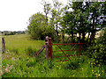 Rusty gate, Mullaghslin Glebe