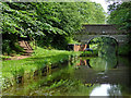 SJ8612 : Lapley Wood Bridge near Wheaton Aston, Staffordshire by Roger  Kidd