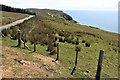 Clifftop grazing near Peterburn