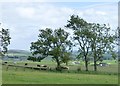 Farms on the southern slopes of the Sidlaw Hills