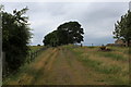 Track ascending towards Hunsworth lane