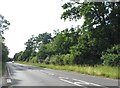 Ringwood Road near Bartley