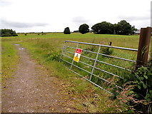H5559 : An open field, Garvaghy by Kenneth  Allen