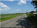 Grunty Fen Road, looking south to a 4 metre spot height