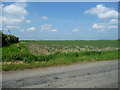 Grunty Fen farmland, near Old Stretham Station