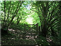 Gate on bridleway