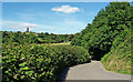 Lane to Ugborough at Haredon Cross