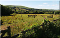 Towards Ugborough Beacon