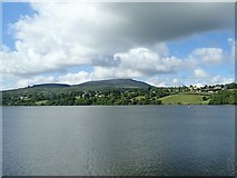 J0225 : Houses on the Ballynalack Road overlooking Cam Lough by Eric Jones