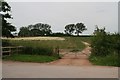 Fields near Brackenhurst Equestrian Centre