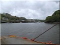 View upstream from the Fowey to Bodinnick ferry